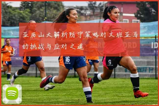 亚历山大解析防守策略对文班亚马的挑战与应对之道