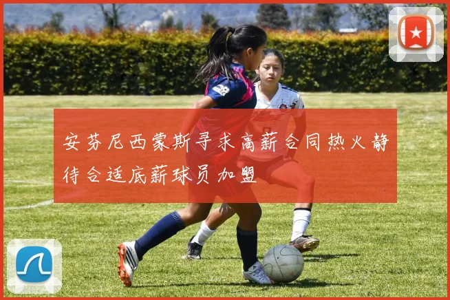 安芬尼西蒙斯寻求高薪合同热火静待合适底薪球员加盟
